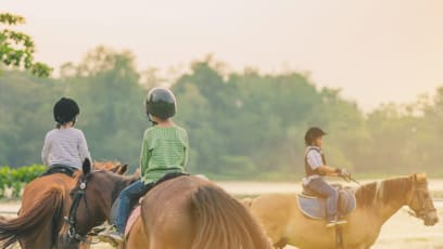 You Can Now Go For Horse-Riding Or Horse-Grooming Sessions In Kranji — Get Vacay Vibes Without Leaving Singapore