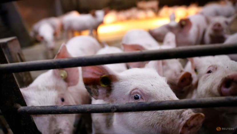 China's July sow herd +0.5% m/m, -5.3% y/y- agriculture ministry China's July sow herd +0.5% m/m, -5.3% y/y- agriculture ministry