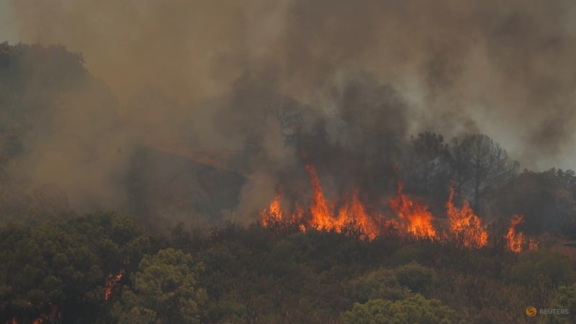 Wildfire raging in Spain forces more than 900 to flee, a firefighter dies Wildfire raging in Spain forces more than 900 to flee, a firefighter dies