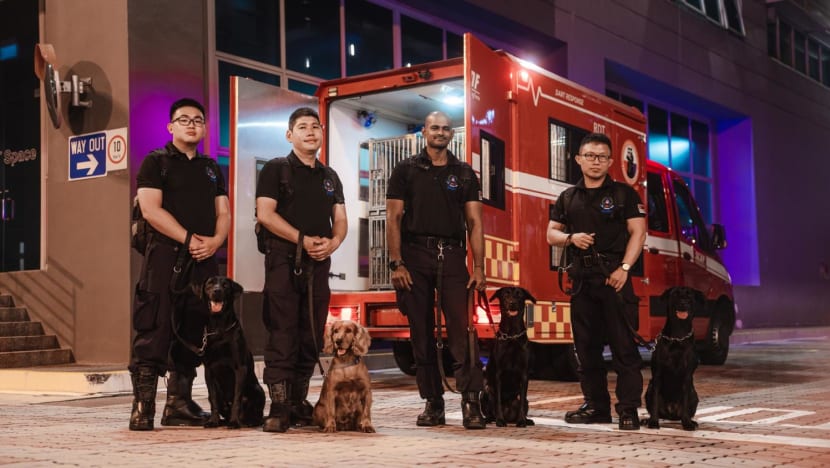 Scdf k9 unit sales