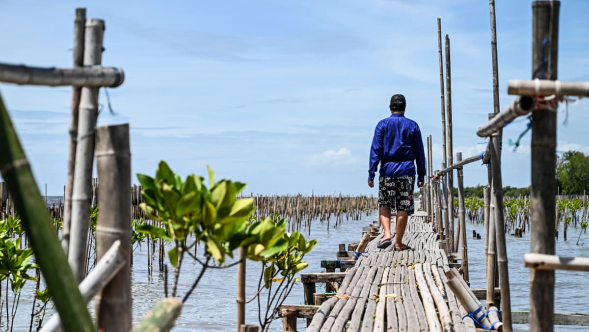 IN FOCUS: Can mega-engineering save Southeast Asia’s bustling capitals from drowning?