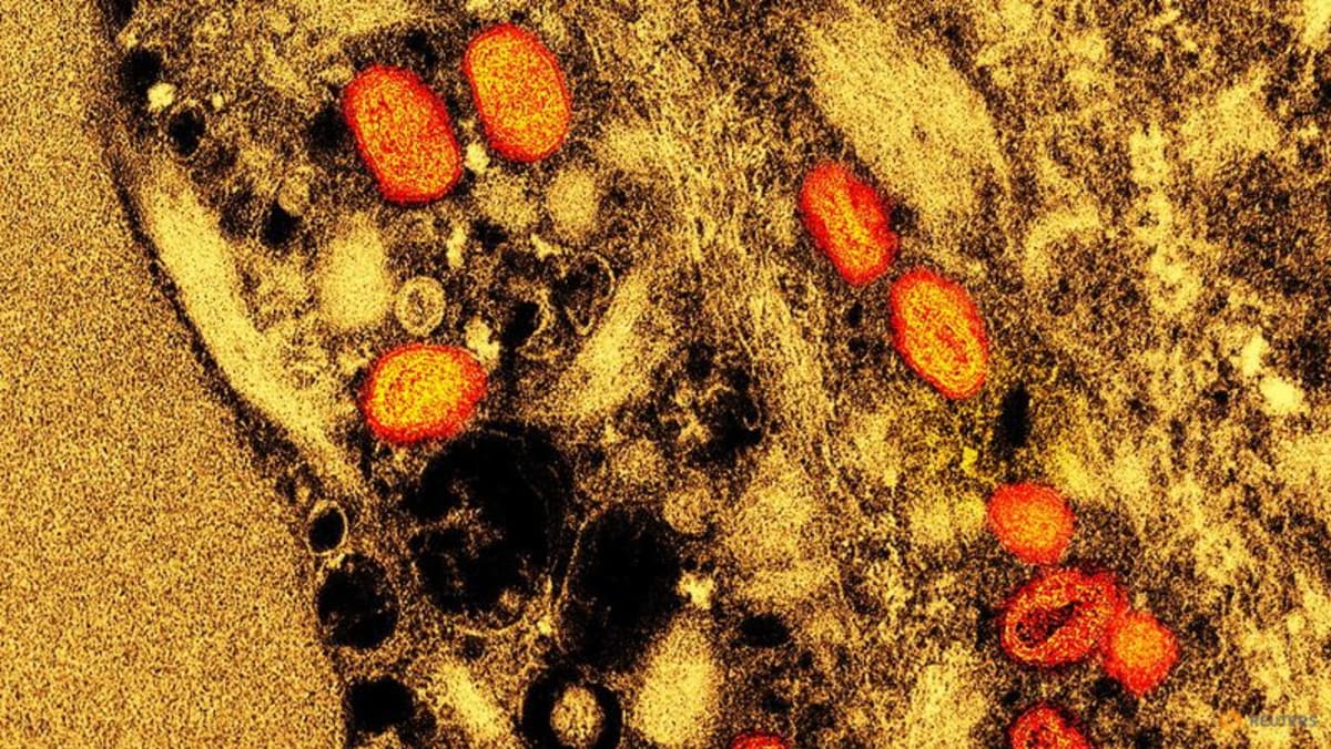 WHO says droplets a ‘minor’ route of mpox transmission