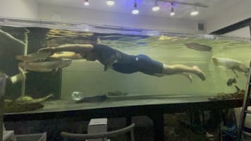Man In Japan Has 3m-Long Aquarium In His House That He Swims In — Yes, With His Fish