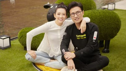 Zhang Ziyi & Wang Feng Withdraw Investment From Film Company Sparking Rumours That There’s Trouble In Their Personal Lives