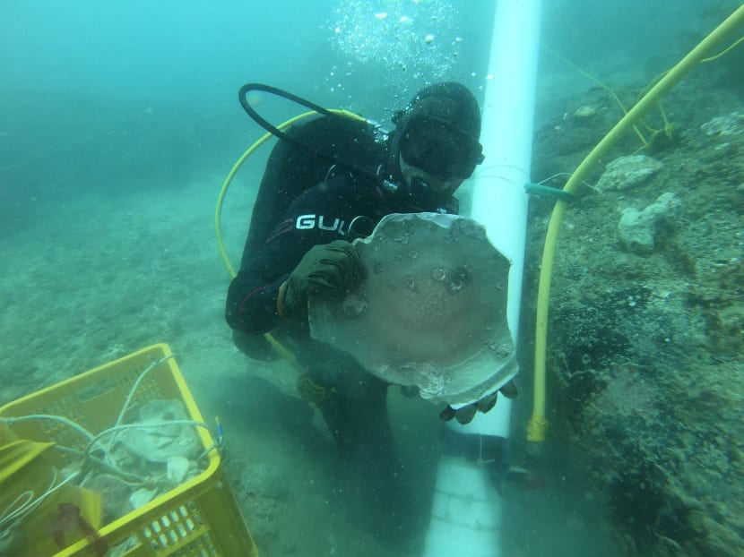A diver with a ceramic artefact recovered from the 14th century shipwreck found near Pedra Branca. A diver with a ceramic artefact recovered from the 14th century shipwreck found near Pedra Branca.