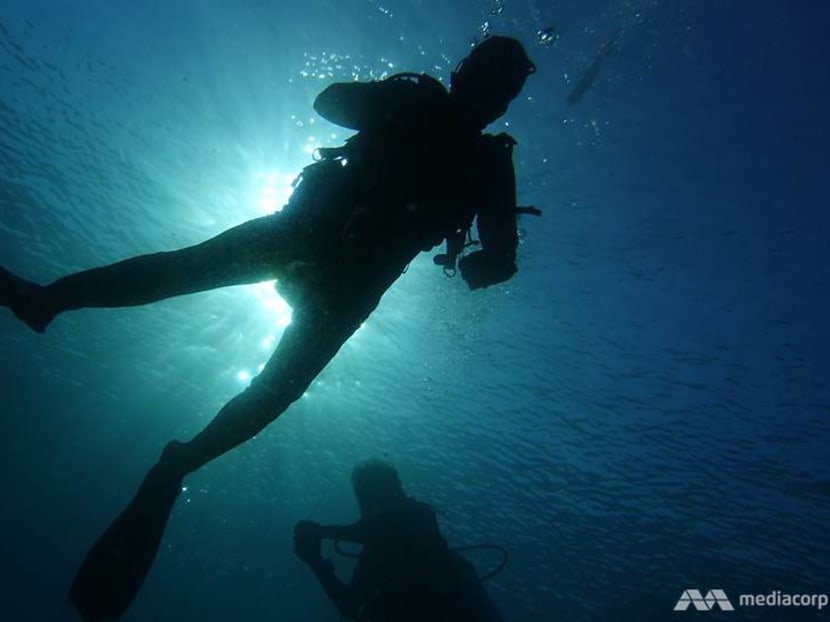 Who needs Internet when you can swim with sharks in Indonesia’s Forgotten Islands? Who needs Internet when you can swim with sharks in Indonesia’s Forgotten Islands?