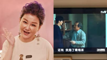 Lan Hsin-Mei, Who’s Worth S$72mil, Apologises For Watching K-Drama On Illegal Streaming Website