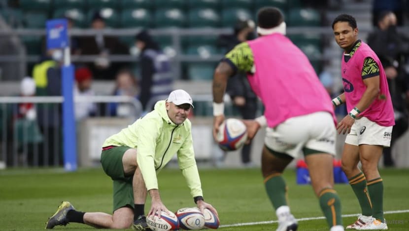 South Africa still have much to do says coach after series win over Wales South Africa still have much to do says coach after series win over Wales
