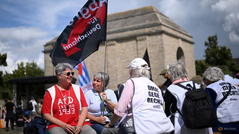 Thousands protest against Germany's far-right AfD party