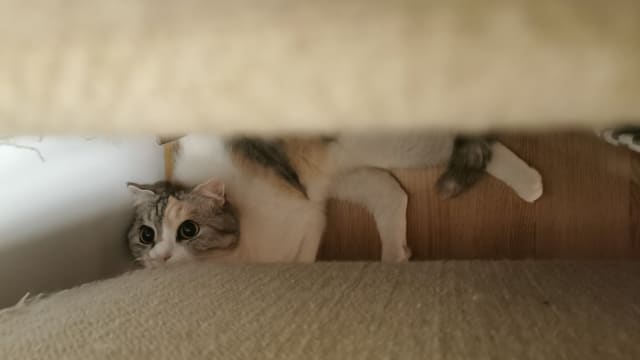 【笔耕园地】随笔：改诗词