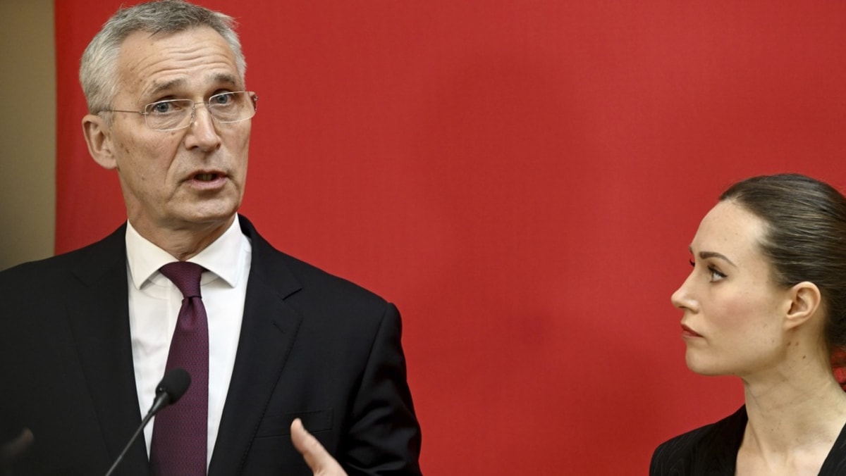 Ukraine will join NATO but in ‘long-term’: Stoltenberg