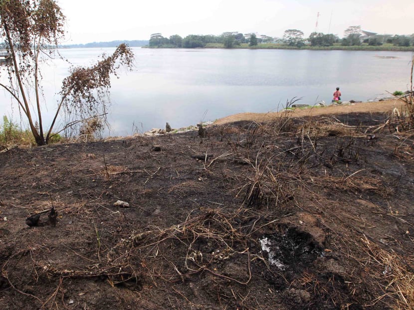 Firms reel as Feb declared driest month on record TODAY