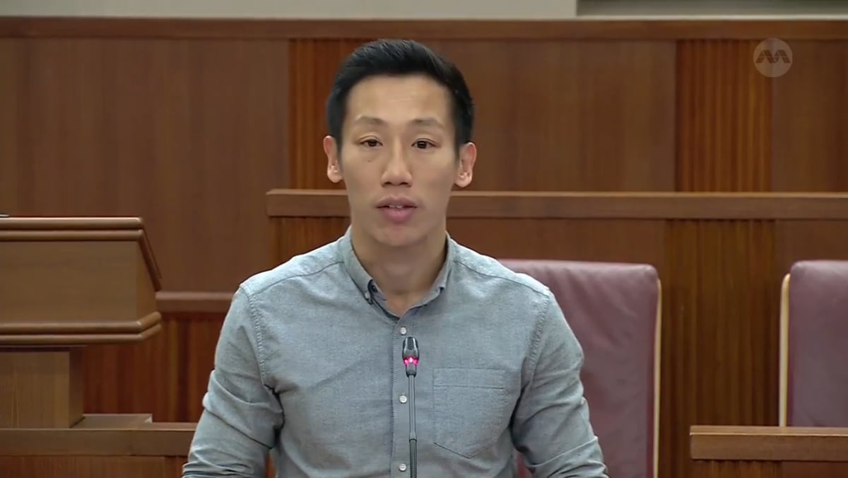 Committee of Supply 2024 debate, Day 2 Xie Yao Quan on Singapore