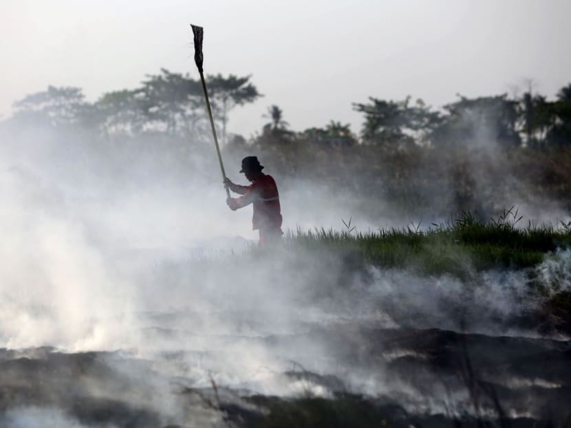 Singapore’s one-plane offer to help fight fires ‘insulting’ Singapore’s one-plane offer to help fight fires ‘insulting’