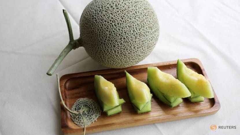 Music and massage: Malaysian farmers attempt to grow prized Japanese muskmelons Music and massage: Malaysian farmers attempt to grow prized Japanese muskmelons