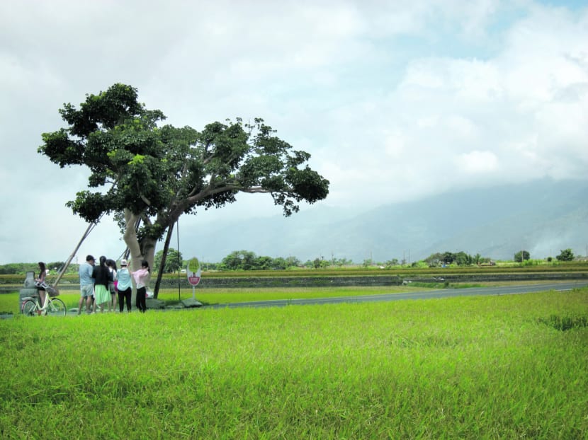 Why you need to visit Taitung
