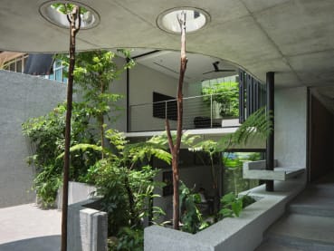 The Raumplan House: An intermediate terrace house in Singapore filled with light and greenery