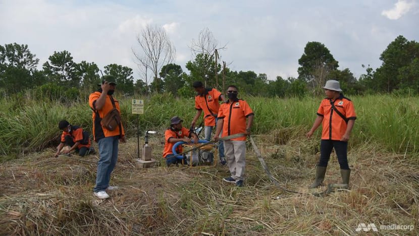 Planting crops, building wells: Local volunteers take the lead to prevent yearly peatland fires in Indonesia's Riau Planting crops, building wells: Local volunteers take the lead to prevent yearly peatland fires in Indonesia's Riau