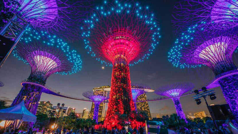 The show is back on: Supertrees light and sound display to return from Jan 8 The show is back on: Supertrees light and sound display to return from Jan 8
