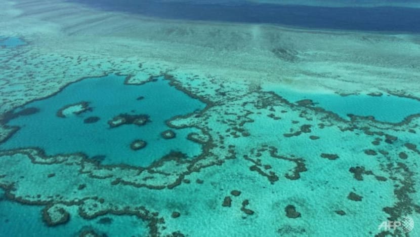 Australia to challenge UNESCO downgrade of Great Barrier Reef