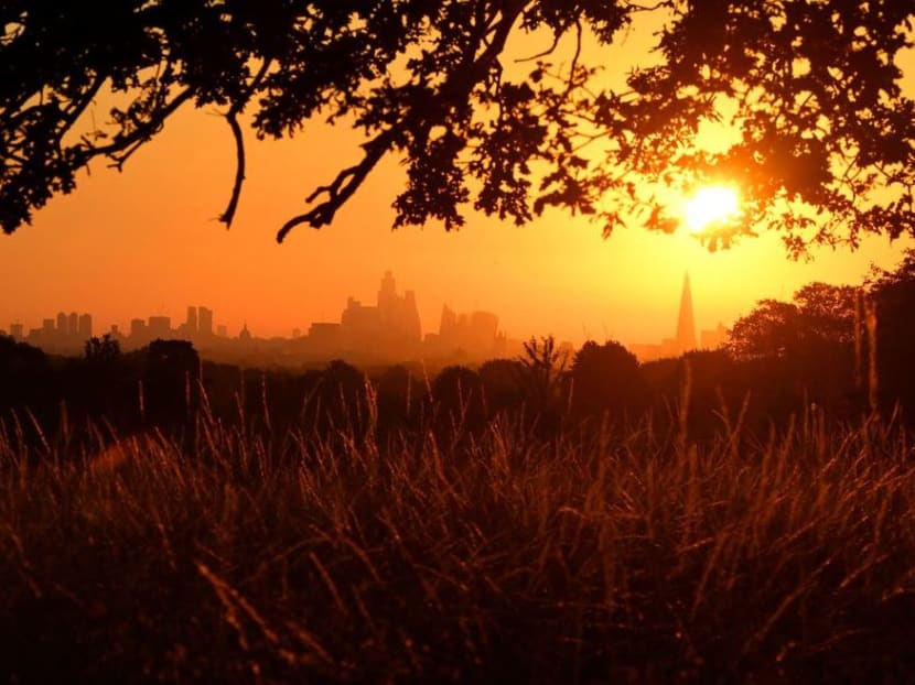 The sun rises above the London skyline, as a second heatwave is predicted for parts of the country, in London, Britain on Aug 11, 2022. The sun rises above the London skyline, as a second heatwave is predicted for parts of the country, in London, Britain on Aug 11, 2022.
