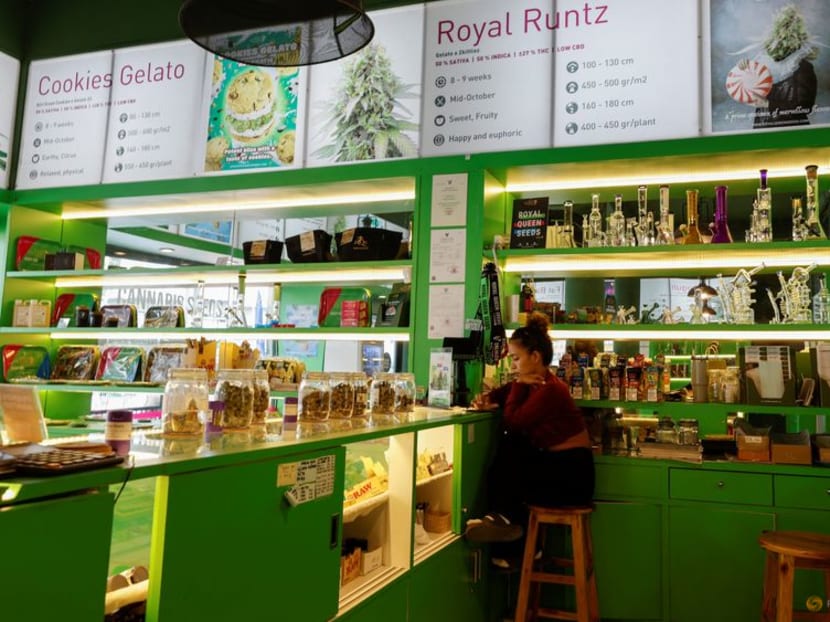 APEC host Thailand's budding marijuana industry faces backlash APEC host Thailand's budding marijuana industry faces backlash