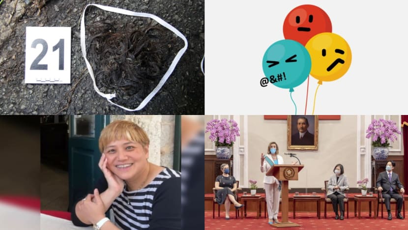 Daily round-up, Aug 3: China retaliates after Pelosi's visit to Taiwan; how DNA unlocked the Gardens by the Bay murder case Daily round-up, Aug 3: China retaliates after Pelosi's visit to Taiwan; how DNA unlocked the Gardens by the Bay murder case