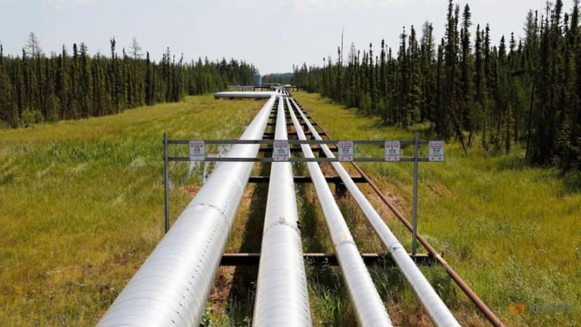 Resurgent Canadian natgas producers look to horn in on US market Resurgent Canadian natgas producers look to horn in on US market