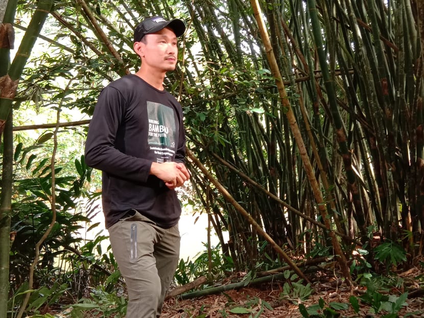 Meet the founder of an impact enterprise that’s regenerating 50 acres of ex-mining land in Perak, Malaysia Meet the founder of an impact enterprise that’s regenerating 50 acres of ex-mining land in Perak, Malaysia