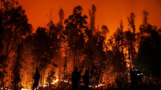 智利林火造成至少23人死 979人伤