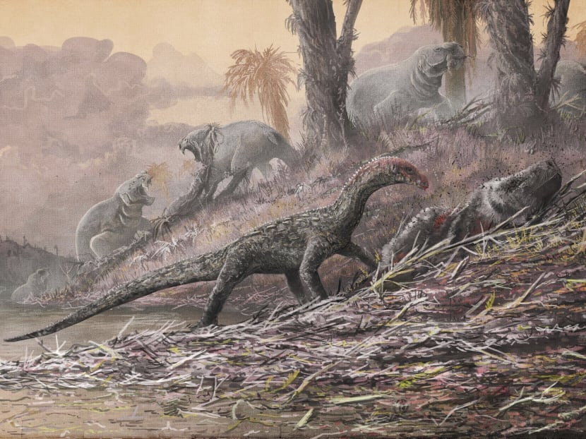 This artist's rendering provided by Mark Witton in April 2017 shows a Teleocrater rhadinus, center, a four-legged, meat-eating reptile and a close relative of dinosaurs, eating a relative of mammals, Cynognathus. The large dicynodont Dolichuranus is seen in the background. Illustration: Natural History Museum, London via AP