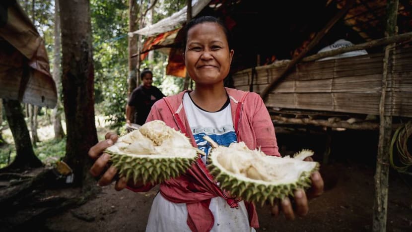 Bukan sebarang durian kampung:  Berbagai jenis durian kini ditawarkan masyarakat orang asli  Selangor  