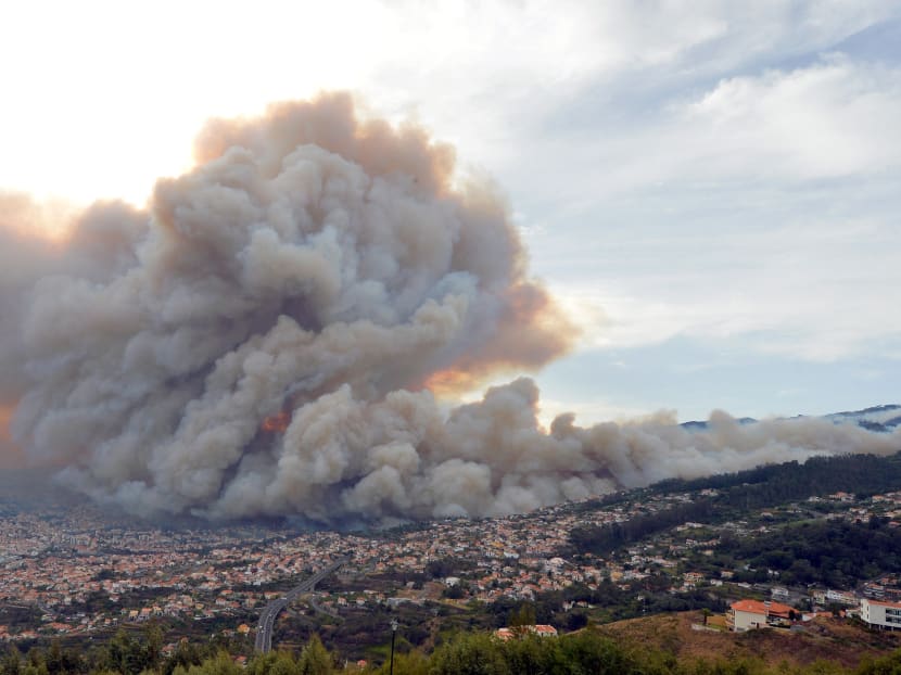 Smoke from forest fires rises above Funchal, the capital of Portugal's Madeira island on Aug 9, 2016. Photo: AP