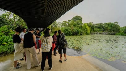 There Are Free Nature Tours At Gardens By The Bay To Help You Uncover Hidden Gems & Learn More About Sustainability  