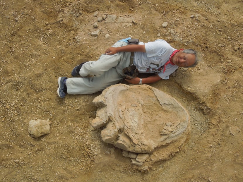 This handout picture taken on August 21, 2016 and released by Okayama University of Science and Mongolian academy of sciences joint expedition on September 30 shows Okayama University of Science Professor Shinobu Ishigaki lying next to a dinosaur footprint in Gobi Desert. A Mongolia-Japan joint expedition has found four fossil footprints in a layer of earth that dates back 70-90 million years ago in Gobi Desert. Photo: AFP