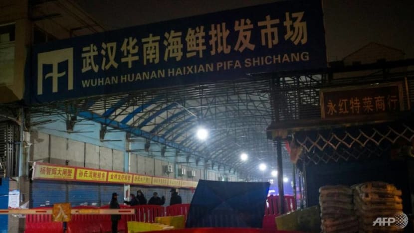 China says WHO team to probe COVID-19 origins will arrive Jan 14 China says WHO team to probe COVID-19 origins will arrive Jan 14