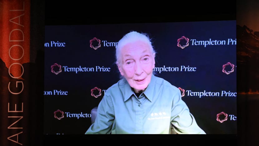 Perubahan iklim kini "tiada titik kembali', kata ahli primotologi Jane Goodall 