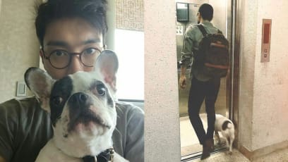 People Are Turning Against Choi Siwon After His Dog Causes Death Of Neighbour