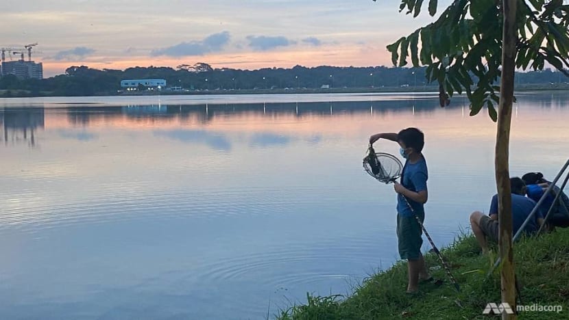 Hard to make catch-and-release fishing compulsory, say NParks, anglers after giant ray cut up Hard to make catch-and-release fishing compulsory, say NParks, anglers after giant ray cut up
