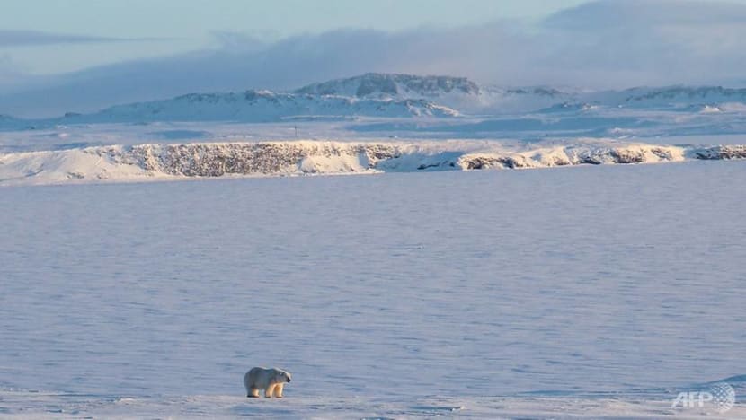Russia discovers five Arctic islands uncovered by melting ice