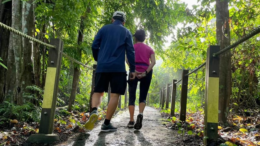 IN FOCUS: From ‘devastated’ land to many long trails: Singapore’s path to becoming a hiker’s paradise IN FOCUS: From ‘devastated’ land to many long trails: Singapore’s path to becoming a hiker’s paradise
