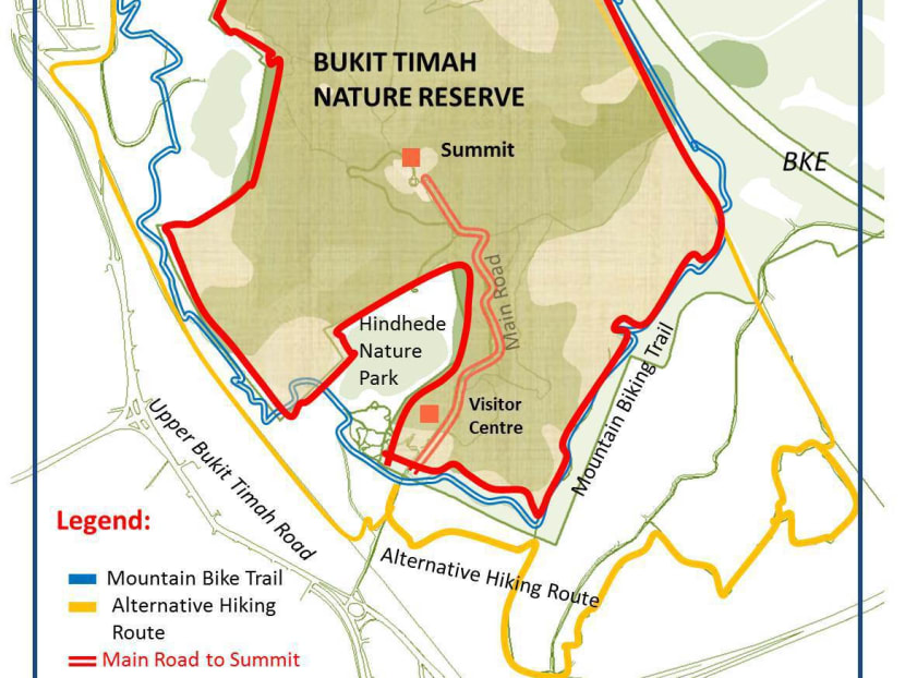 Bukit Timah Mountain Bike Trail Map Restored Bukit Timah Nature Reserve To Offer 'New Experience': Khaw - Today