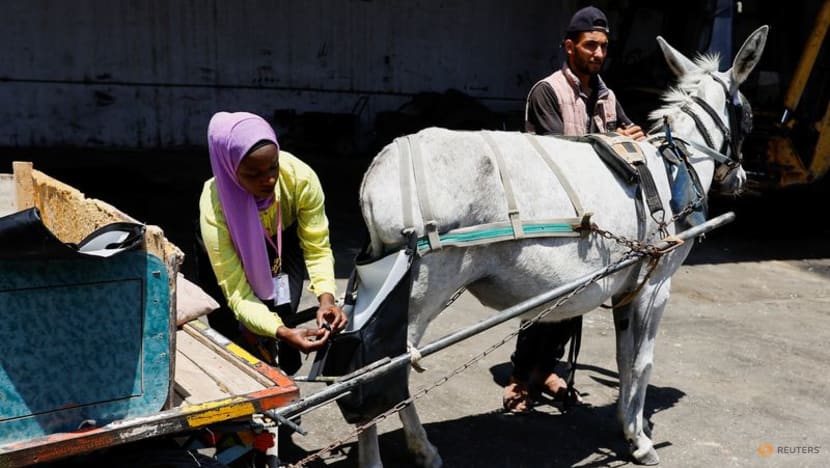 'Horse diapers' keep Gaza streets clean