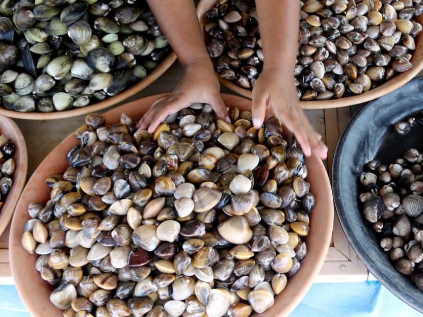 Last week, Sabah Agriculture and Food Industry Minister Datuk Junz Wong had announced that shellfish, including oysters and clams, were not safe to be eaten because of a toxic algae blooming incident or red tide had been detected in the area. Last week, Sabah Agriculture and Food Industry Minister Datuk Junz Wong had announced that shellfish, including oysters and clams, were not safe to be eaten because of a toxic algae blooming incident or red tide had been detected in the area.