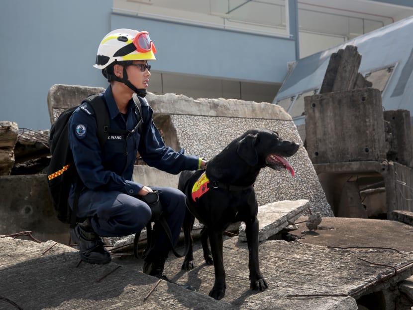 Scdf outlet k9 unit