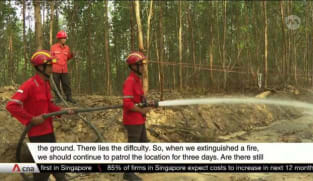 Indonesia fighting more forest fires, as dry season  intensifies | Video