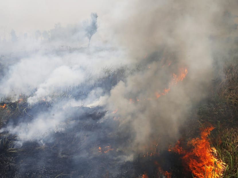 Smoke rises as a fire burns a forest as seen at North Indralya village in Ogan Ilir Regency, Indonesia's south Sumatra province September 13, 2015. Photo: Reuters