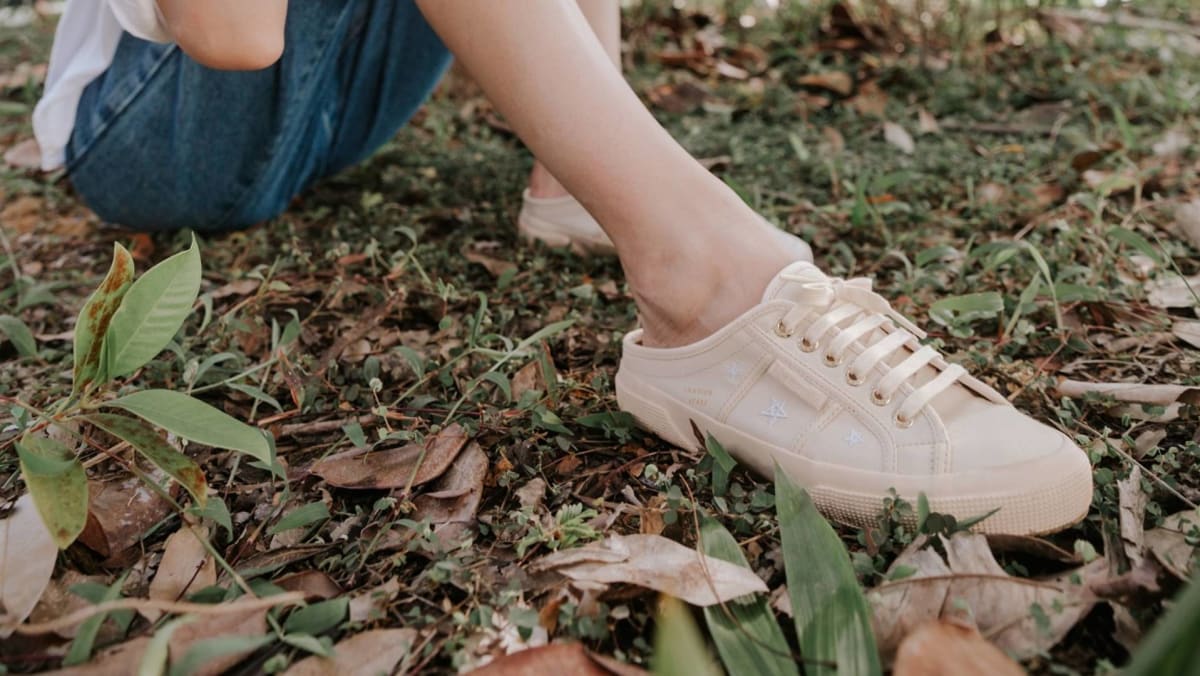 Superga x the paper bunny top