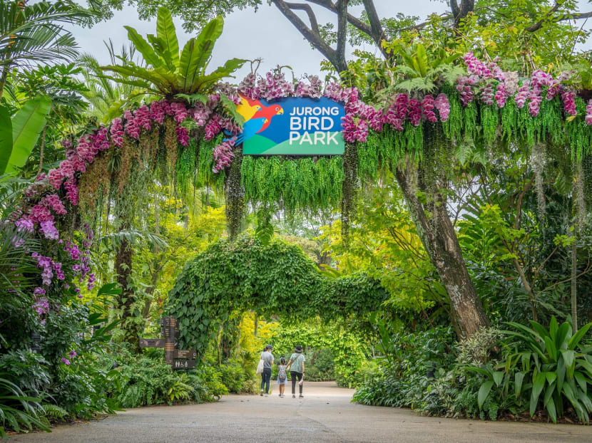 Jurong Bird Park set to close on Jan 3, 2023 – time to plan a trip down memory lane