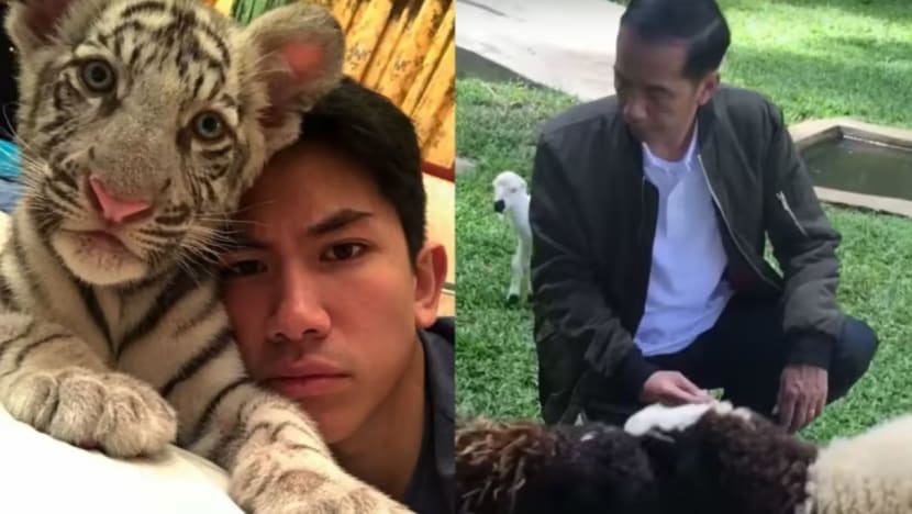 Tharman bela kucing, Jokowi pilih pelihara kambing; berikut haiwan peliharaan kesayangan 7 pemimpin dunia 